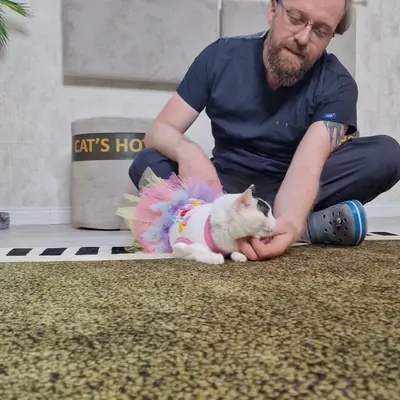 Hepsi Patime Cat's Hotel misafiri