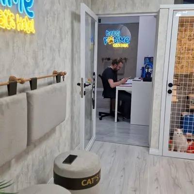Hepsi Patime Cat's Hotel misafiri