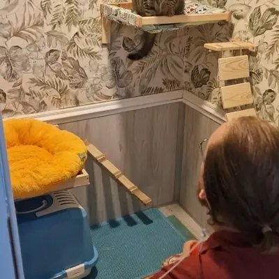 Hepsi Patime Cat's Hotel misafiri