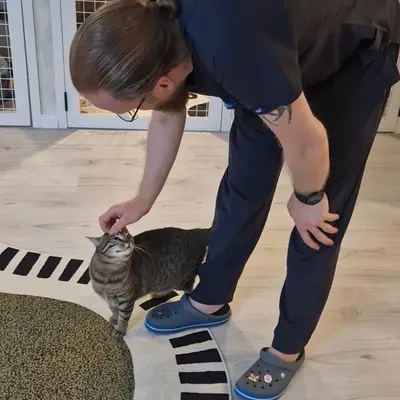 Hepsi Patime Cat's Hotel misafiri
